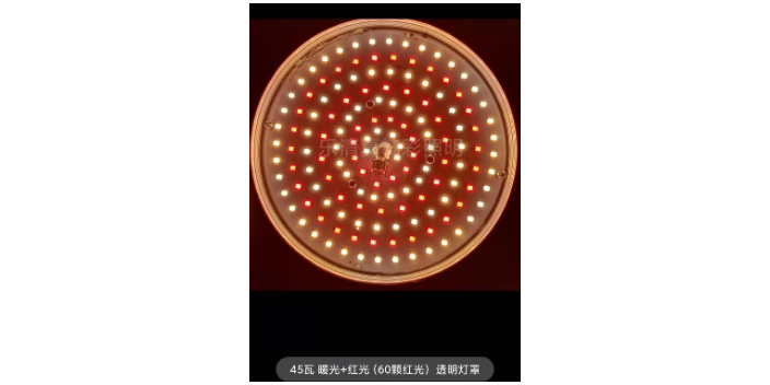 江蘇海鮮提鮮燈價格「樂清市真精彩照明電器供應」